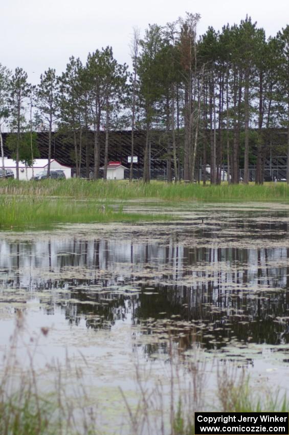 View of the infield pond