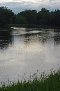 Mississippi River just outside of Brainerd, MN