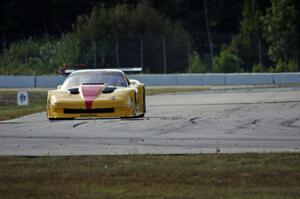 Tony Ave's Chevy Corvette