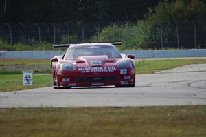 Amy Ruman's Chevy Corvette