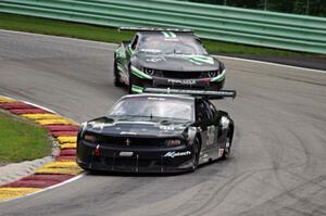 Tom West's Ford Mustang and Gregg Rodgers's Chevy Camaro