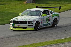 Rob Bodle's Ford Mustang