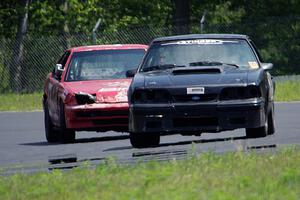 Wells Mafia Ford Mustang and Lap Dog Honda Prelude