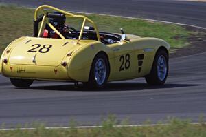 Jeff Johnk's Austin-Healey 3000