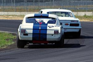 Shannon Ivey's Chevy Camaro leads Brian Kennedy's Ford Shelby GT350 at turn 4