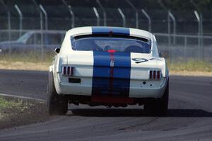 Brian Kennedy's Ford Shelby GT350