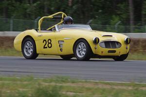 Jeff Johnk's Austin-Healey 3000