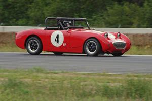 Tom Daly's Austin-Healey Sprite