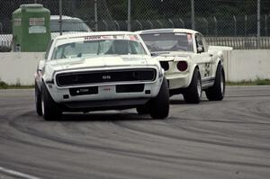 Shannon Ivey's Chevy Camaro leads Brian Kennedy's Ford Shelby GT350 into turn 12