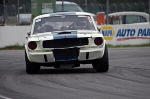 Brian Kennedy's Ford Shelby GT350