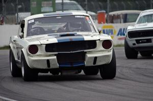 Brian Kennedy's Ford Shelby GT350