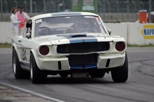 Brian Kennedy's Ford Shelby GT350