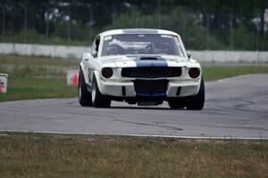 Brian Kennedy's Ford Shelby GT350