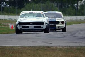 Shannon Ivey's Chevy Camaro leads Brian Kennedy's Ford Shelby GT350 into turn 12