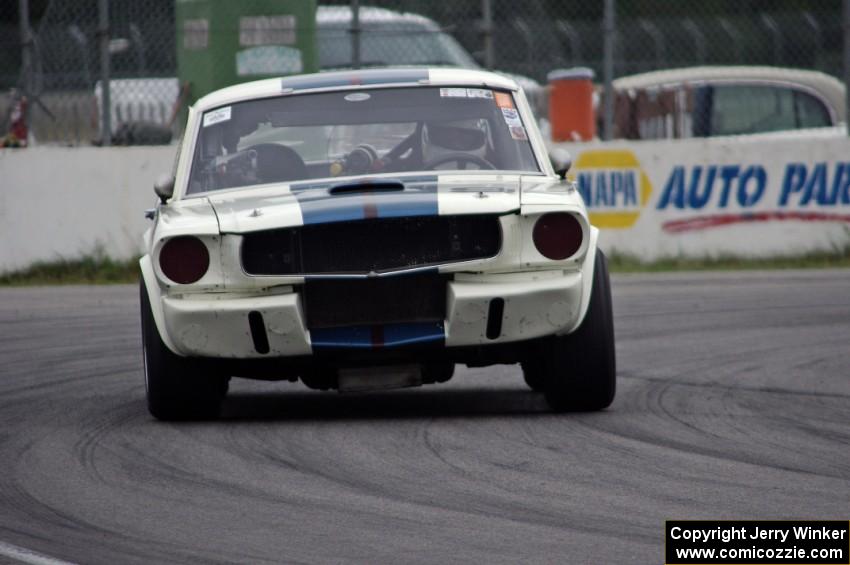 Brian Kennedy's Ford Shelby GT350