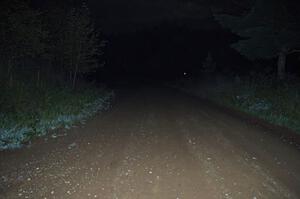 Parkway Forest Road at night