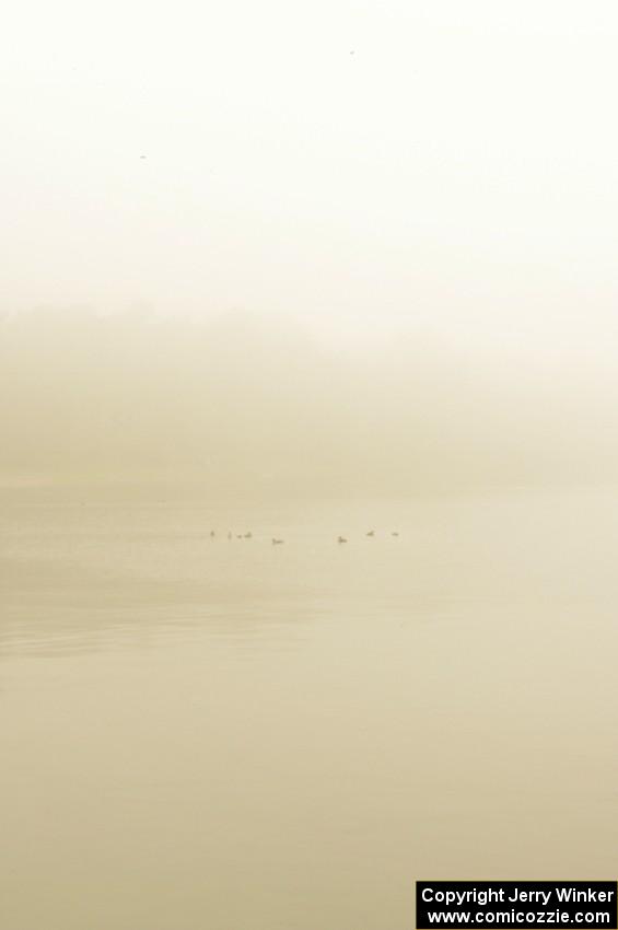 Early morning fog rolls off Lake Bemidji while a few ducks relax while swimming.