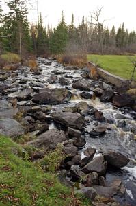 Unnamed Falls of the Tioga River