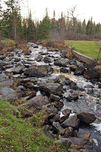 Unnamed Falls of the Tioga River