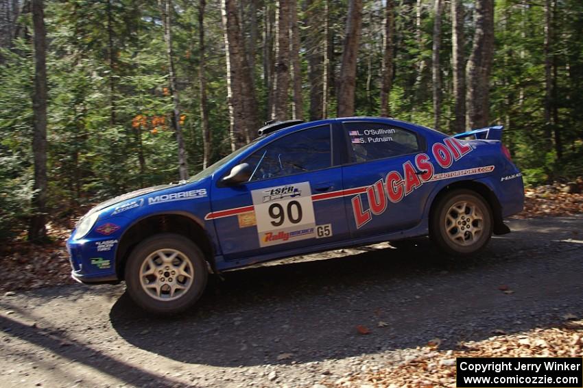 Lauchlin O'Sullivan / Scott Putnam in their Dodge SRT-4 on SS3 (Herman I)