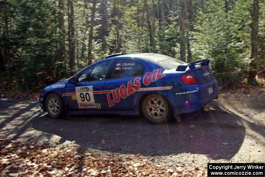 Lauchlin O'Sullivan / Scott Putnam in their Dodge SRT-4 on SS3 (Herman I)