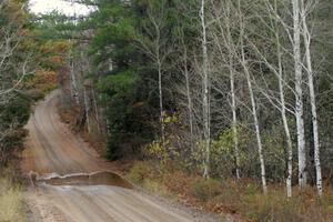 A large puddle near the finish of SS10 (Menge Creek 1)