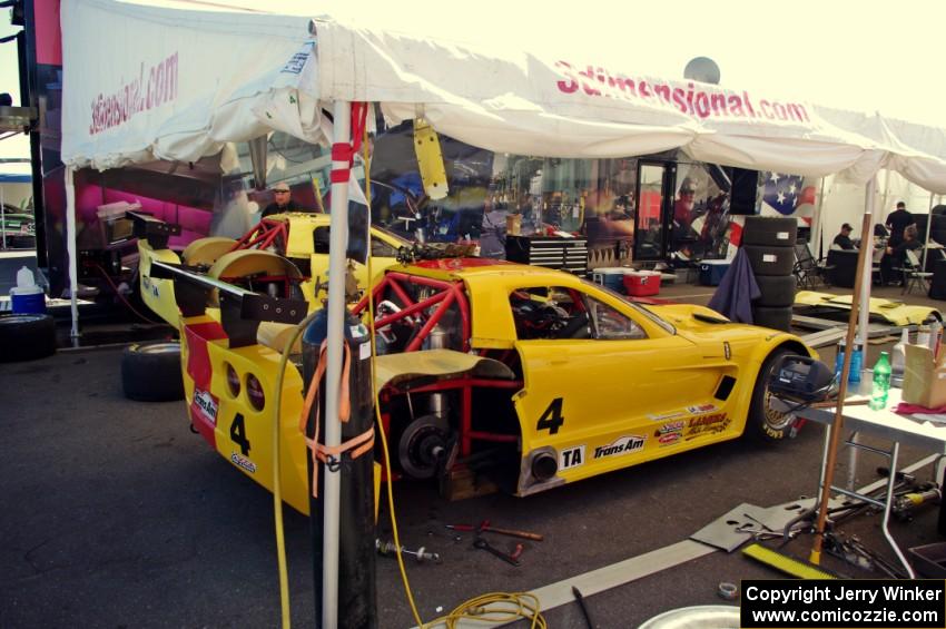 Tony Ave's and Doug Peterson's Chevy Corvettes in the paddock