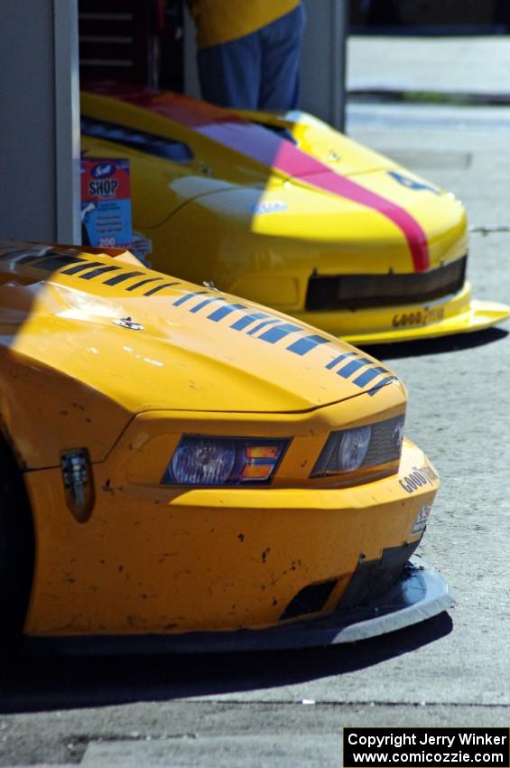 David Jans's Ford Mustang and Tony Ave's Chevy Corvette
