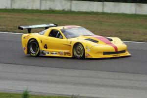 Tony Ave's Chevy Corvette