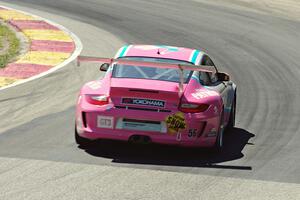 Melanie Snow's Porsche GT3 Cup