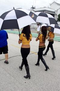 Grid girls