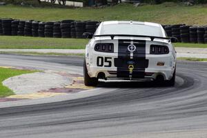 Lucas Bize / Patrick Linn Ford Mustang Boss 302R GT