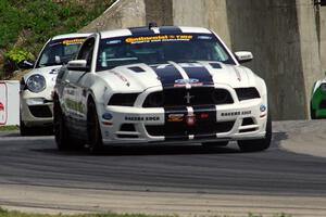 Richard Golinello / David Levine Ford Mustang Boss 302R GT