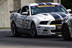 Lucas Bize / Patrick Linn Ford Mustang Boss 302R GT