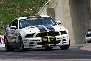 Lucas Bize / Patrick Linn Ford Mustang Boss 302R GT