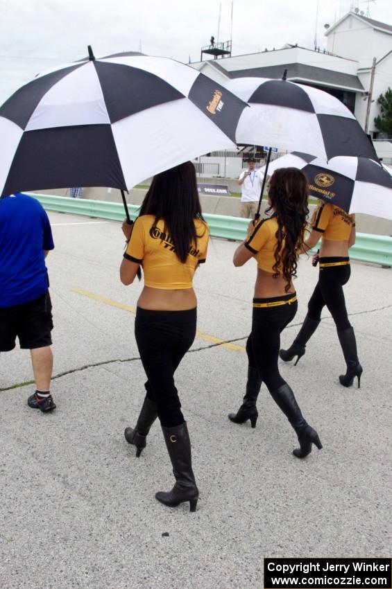 Grid girls