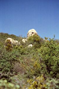 A granite outcrop near the start of the Mingus Mountain II stage.