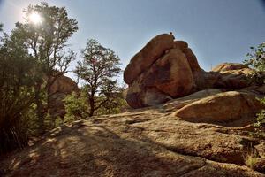 James Bialas hikes to the top of a large rock at the Granite Dells outside of Prescott, AZ