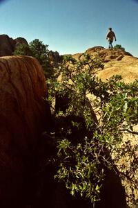 James Bialas takes a walk at the Granite Dells outside of Prescott, AZ