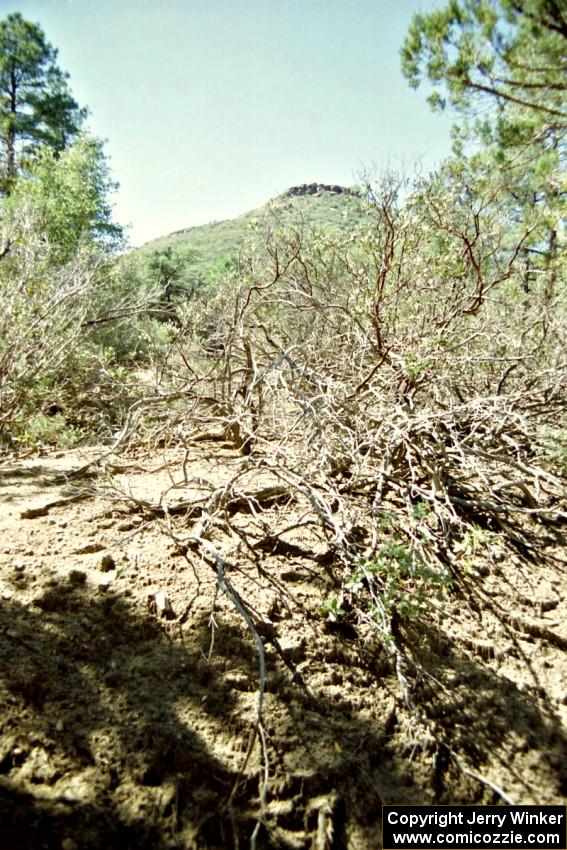 The view from the start of the Mingus Mountain II stage.