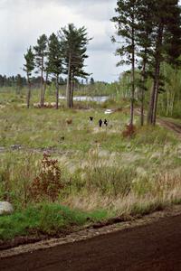 Colin McCleery / Jeff Secor have a high-speed off in their Merkur XR4Ti in the Two Inlets State Forest.