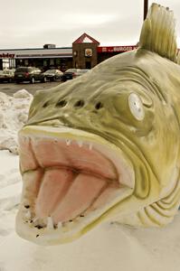 World's Largest Walleye in Rush City, Minnesota