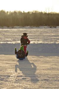 Sledding in the paddock