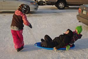 Sledding in the paddock