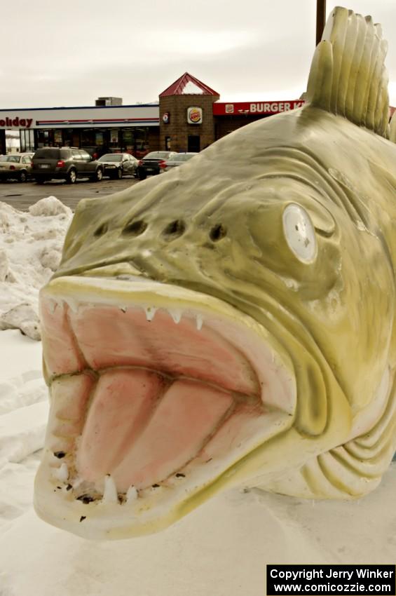 World's Largest Walleye in Rush City, Minnesota