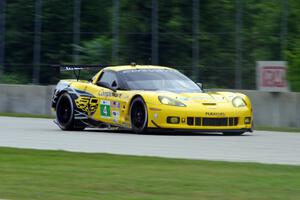 Tommy Milner / Oliver Gavin Chevy Corvette C6.R