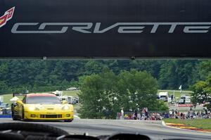 Antonio Garcia / Jan Magnussen Chevy Corvette C6.R