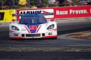 Brian Frisselle / Burt Frisselle Chevy Corvette DP (Coyote)