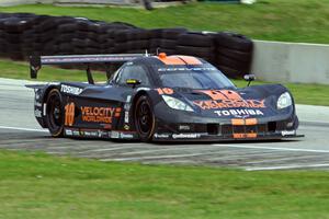 Max Angelelli / Jordan Taylor Chevy Corvette DP (Dallara)