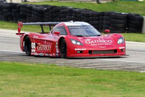 Jon Fogarty / Alex Gurney Chevy Corvette DP (Riley)